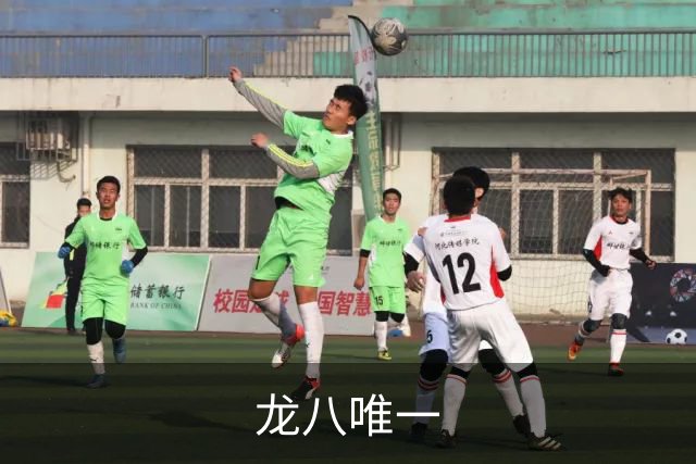 龙八唯一公司简介展示图